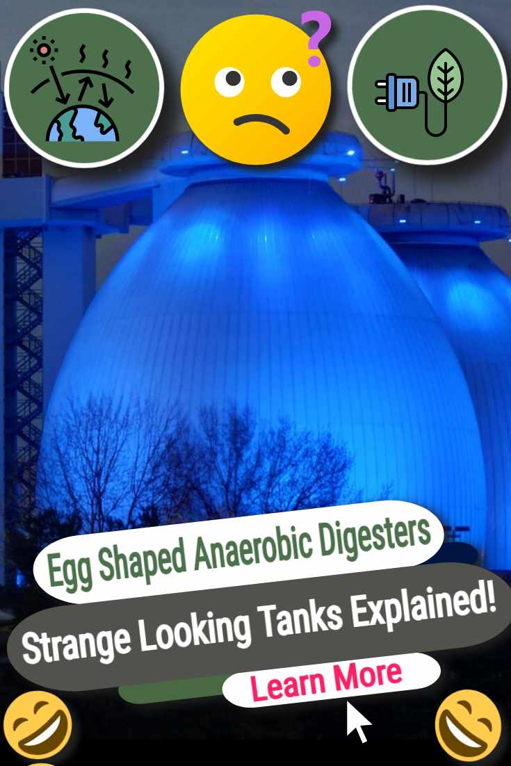 Egg shaped biogas tanks at a Wastewater treatment works