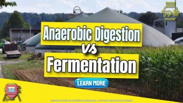 Image text: "Anaerobic Digestion vs Fermentation".
