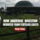 Image text: "Biogas digester cost and farm fertiliser savings".