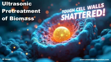 Image thumbnail text - Ultrasonic pretreatment of biomass for efficient biogas production