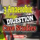 Featured image for: "3 Anaerobic Sludge Digestion Case Studies".