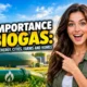 The Importance of Biogas 10 Benefits for Energy Cities Farms and Homes.
