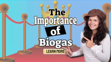 Biogas Importance featured image.