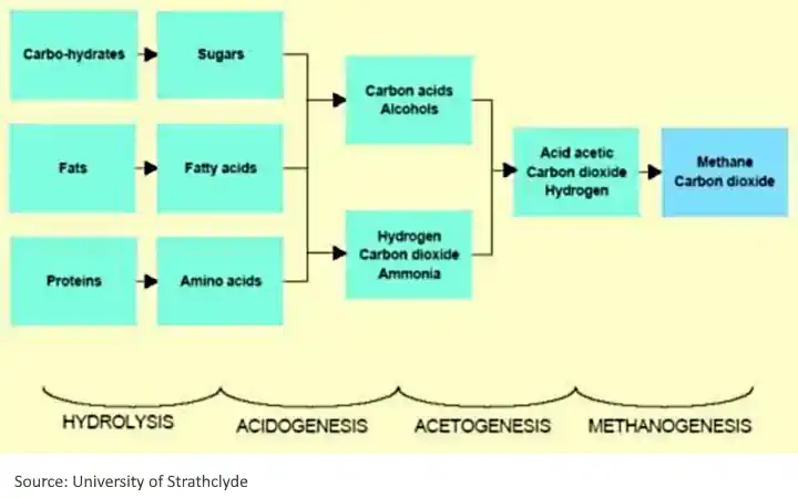 Flow Chart showing the Anaerobic Digestion Process Steps