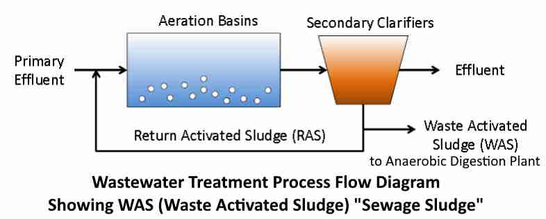 Wastewater Process Diagram showing Sewage Sludge