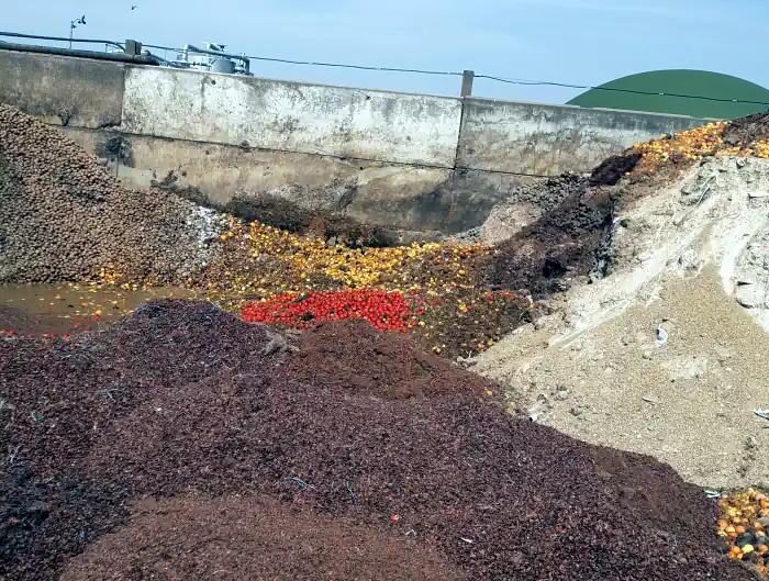 Pumps and Multi-crushers from Börger have played an important role in tomato digestion success of the Biogas plant at tomato producer, Guy & Wright.