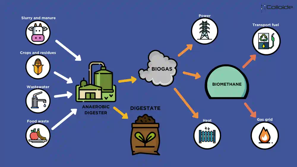This anaerobic digestion process schematic process diagram shows how the digestate is produced.
