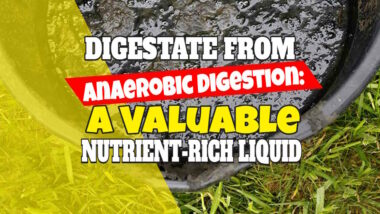 Digestate from anaerobic digestion