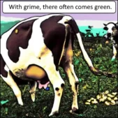 Meme: With grime, there often comes green.