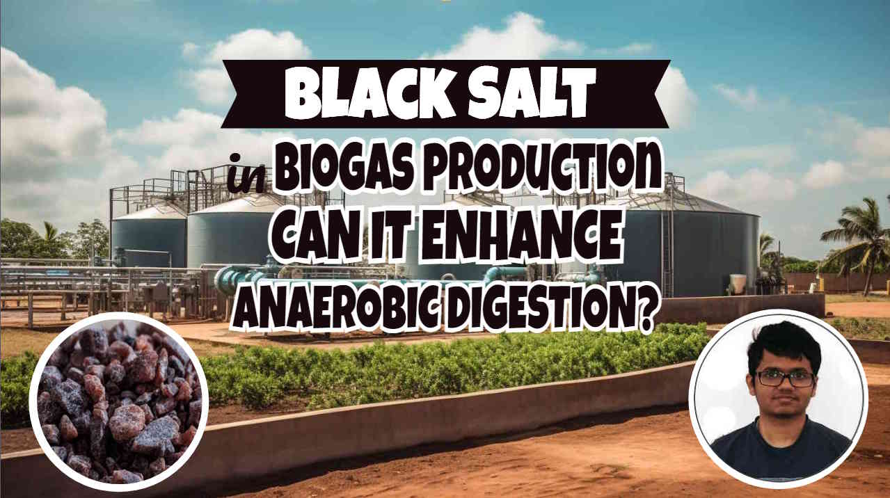 Featured image for Black salt in biogas production article.