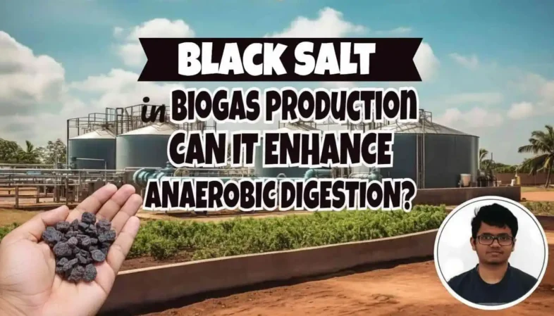 Featured image for Black salt in biogas production article.