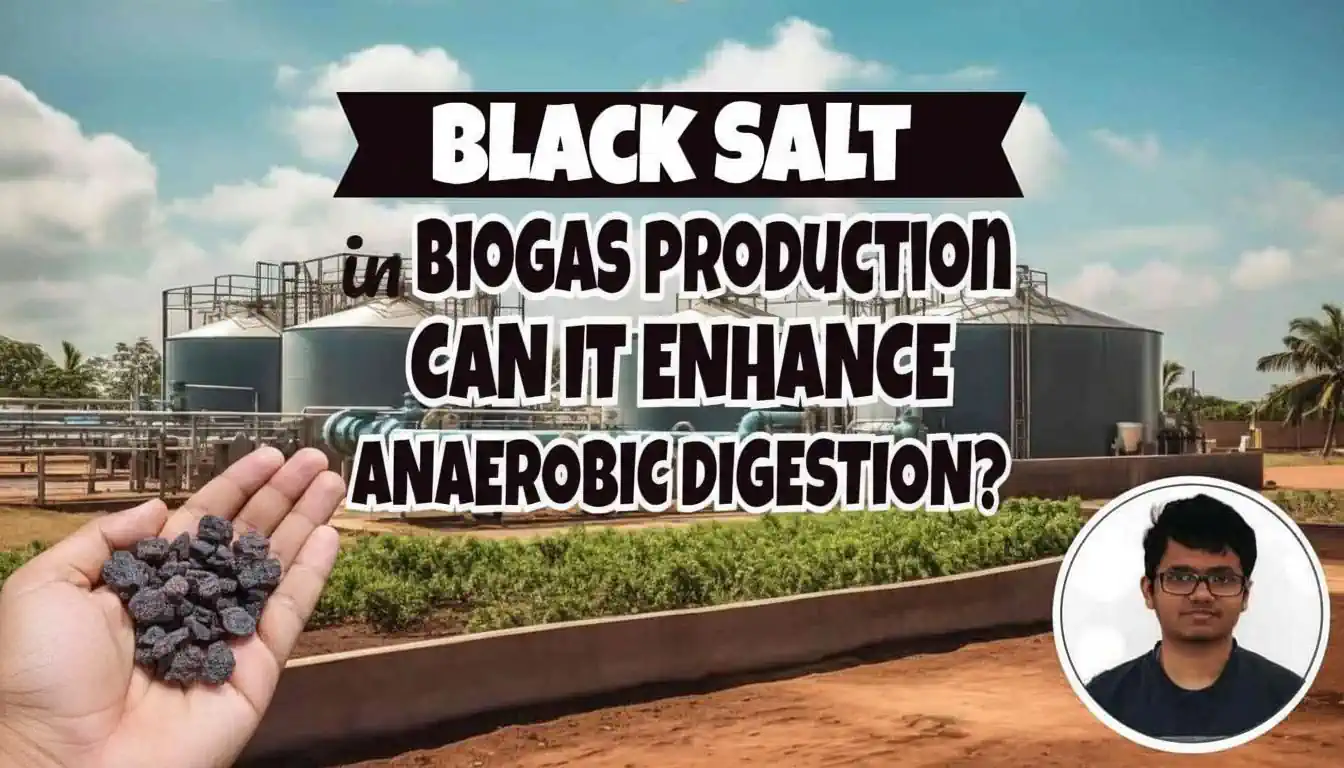 Featured image for Black salt in biogas production article.