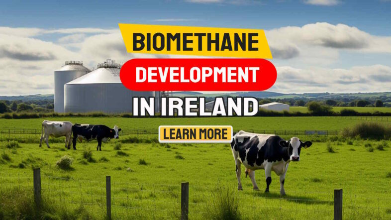 Thumbnail image with text: "Biomethane Development Ireland".