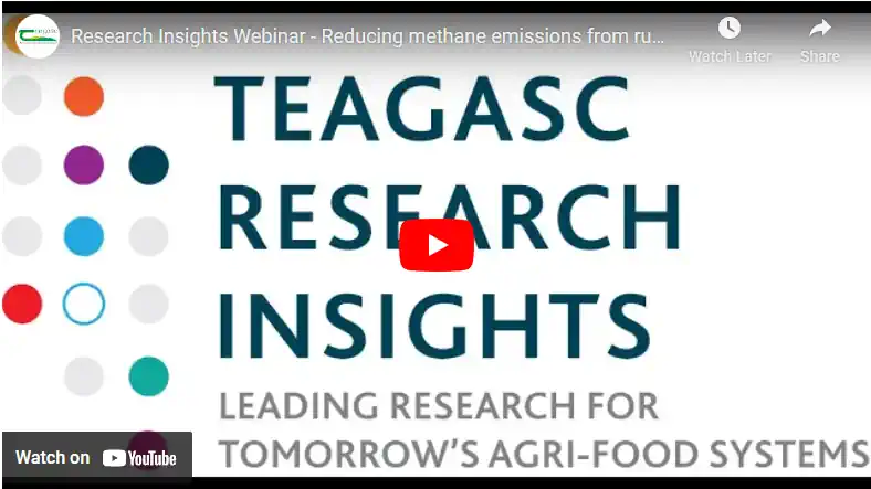 Video Thumbnail: Research Insights Webinar - Reducing methane emissions from ruminants.