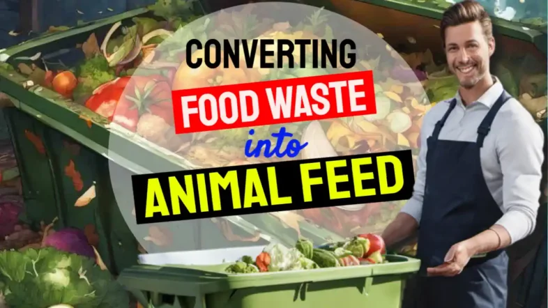 Featured image text Converting food waste to animal feed