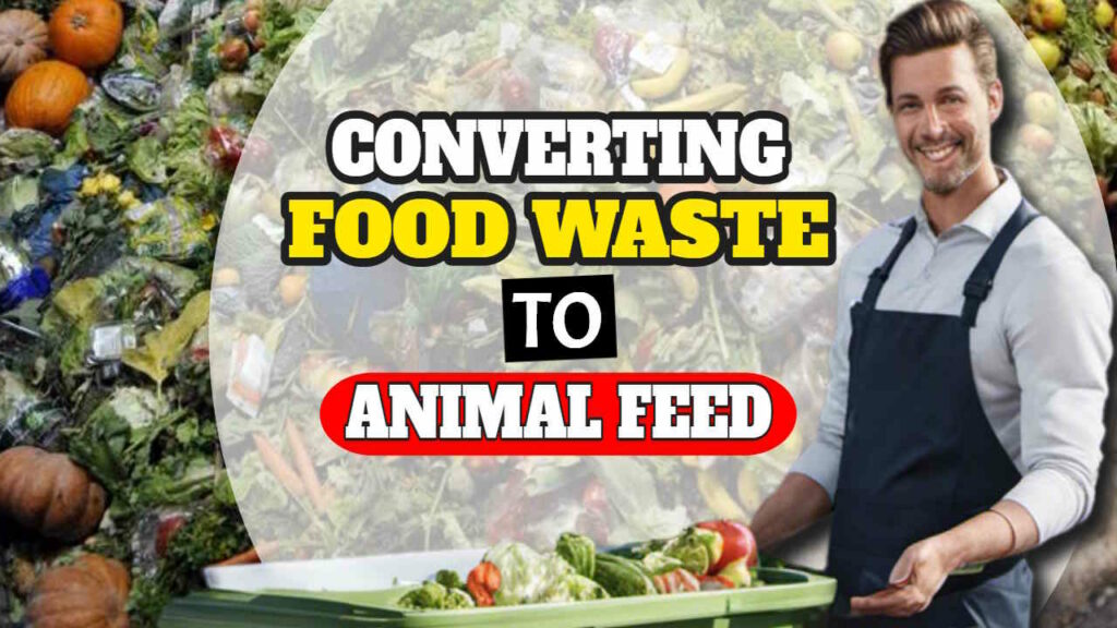 Featured image text: "Converting food waste to animal feed".