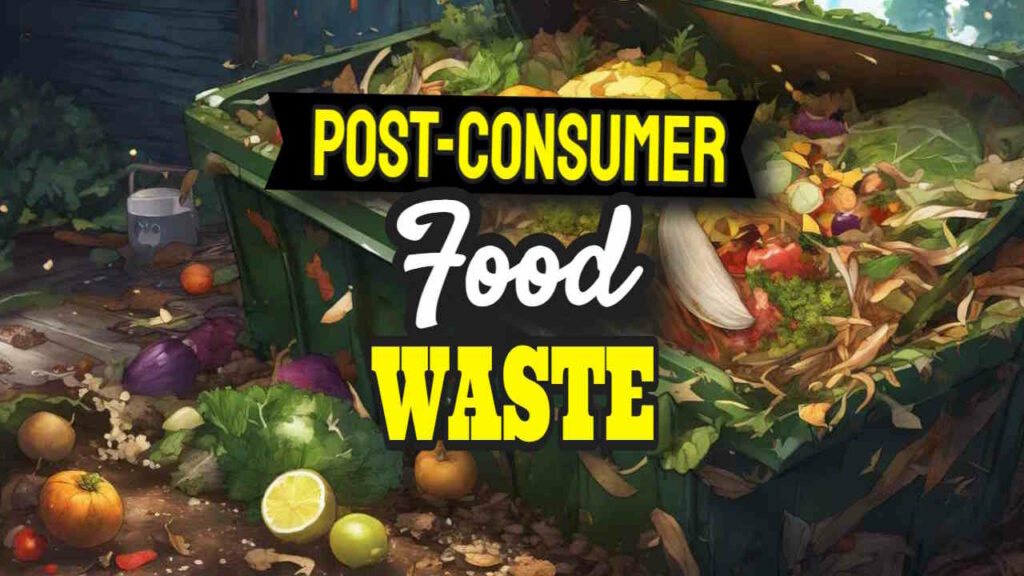 post-consumer food waste featured image