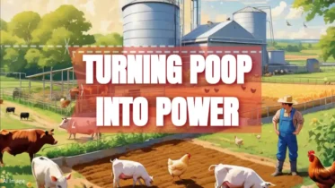 Turning poop into power article featured-image