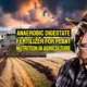 Featured image with text: "Anaerobic digestate fertilizer for Plant Nutrition in Agriculture."
