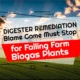 Image with text: "Digester Remediation Blame Game Must Stop for Failing Biogas Plants."