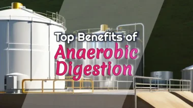 Top Benefits of Anaerobic Digestion: Thumbnail Image