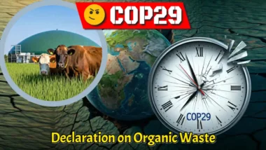 Thumbnail image with text: "COP29 Declaration on-Organic Waste."