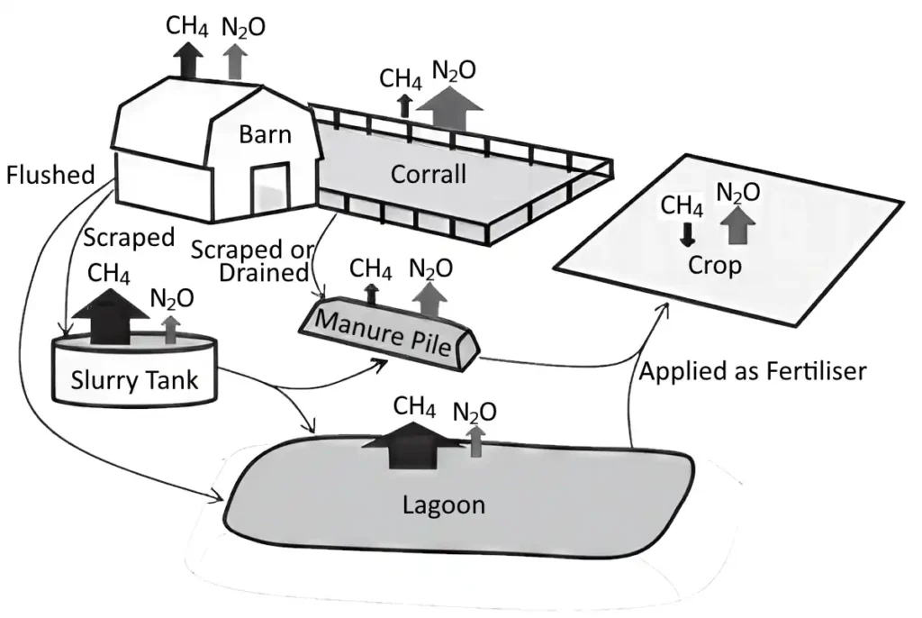 A traditional Farm Manure Management Flow and Emissions Diagram.