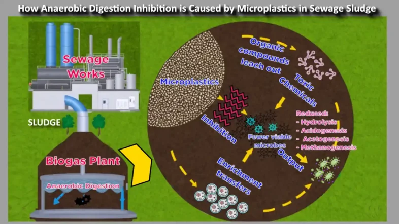 Diagram shows how microplastic in sludge causes anaerobic digestion process inhibition.