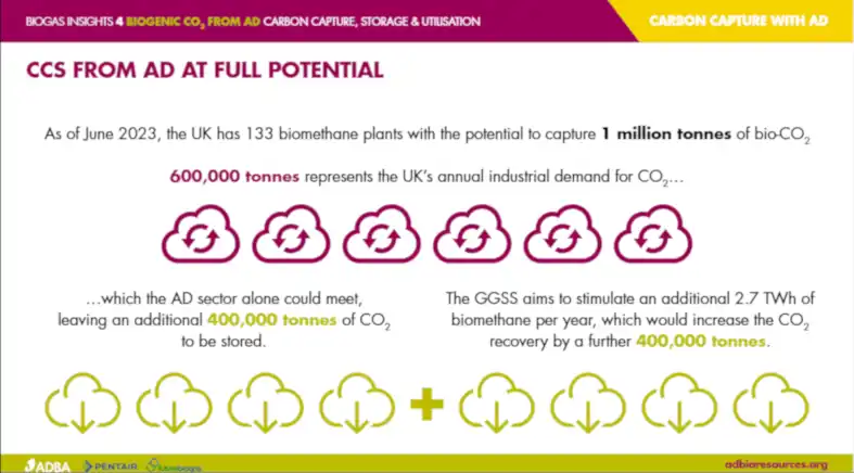 Natural Carbon Capture Technology