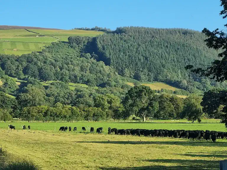 A sustainable Hill Farm view of the pasture with the Welsh hills behind.