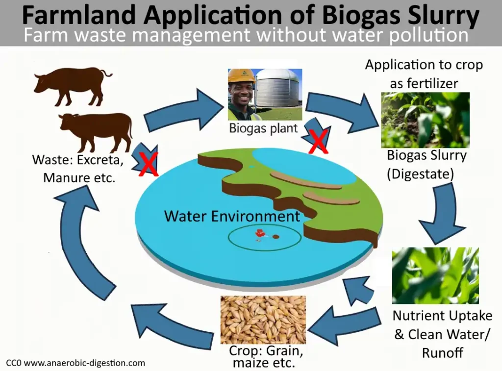 Biogas Slurry Water environment protection infogaphic