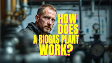 How does a biogas plant work article featured image.