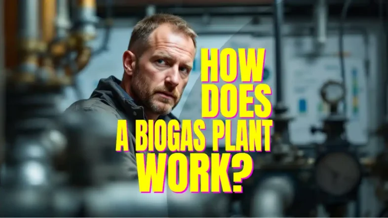 How does a biogas plant work article featured image.