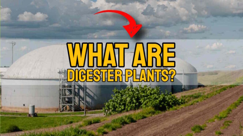 What are digester plants - Featured image