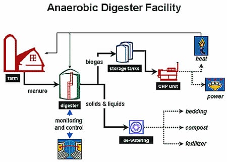 Diagram showing the biogas process at an Anaerobic Digester Farm.