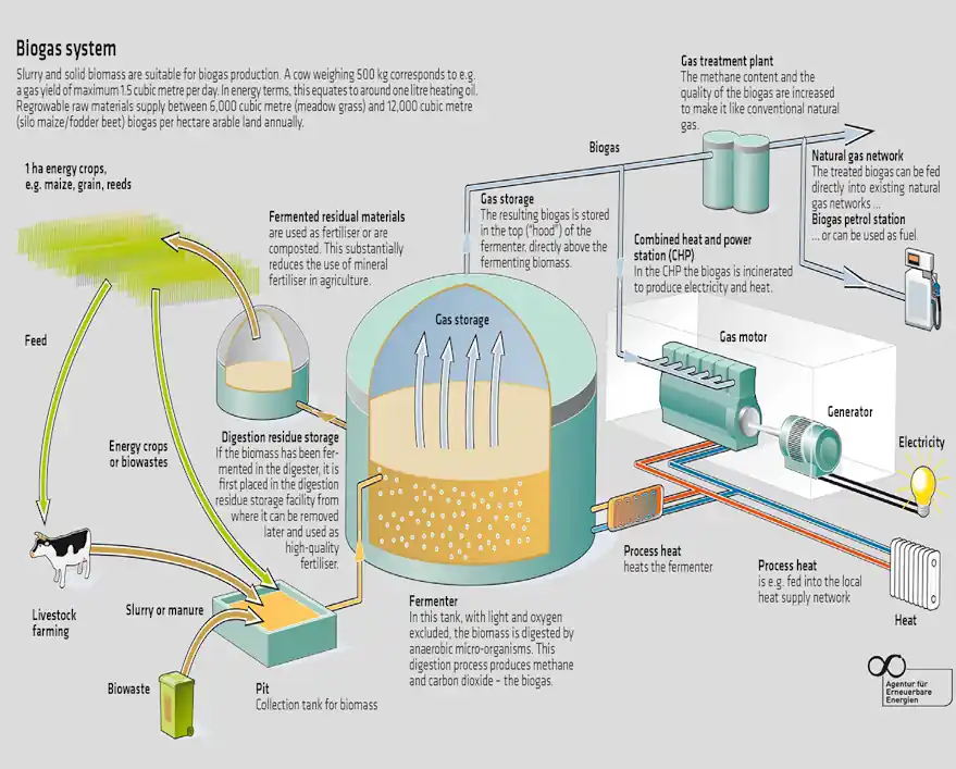 Schematic Process Diagram Showing a Grass and Manure Fed Biogas Plant
