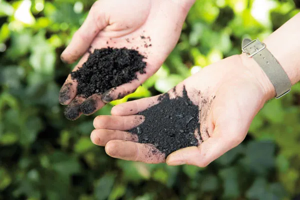 Biochar held in the hand - Biochar Hands Gardening With Biochar.