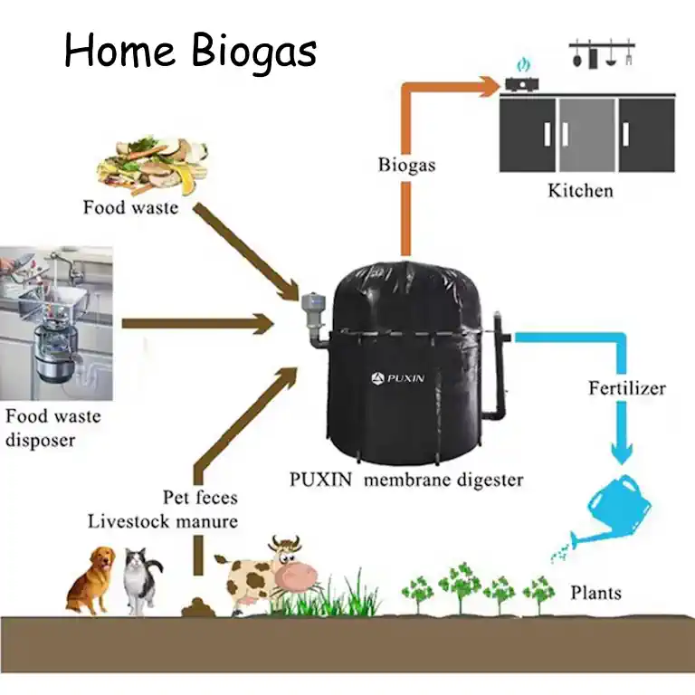 Home Biogas Reactor Schematic