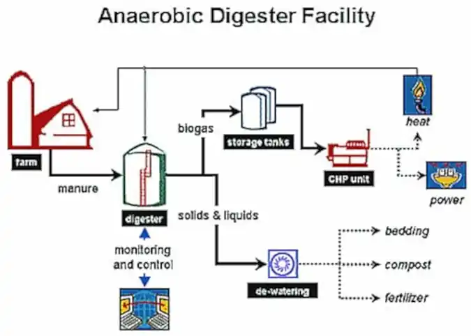 Process Schematic of a typical dairy digester