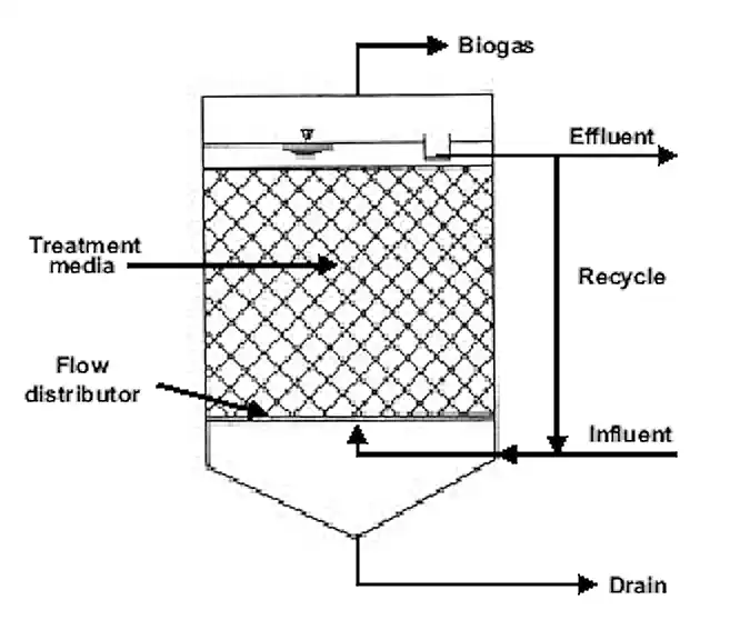 Schematic of a Fixed Media Biogas Digester