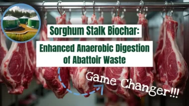 sorgham biochar enhance amaerobic digestion abattoire waste