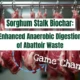 sorgham biochar enhance amaerobic digestion abattoire waste