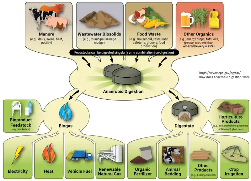 Flow fo feedstocks through an anaerobic digestion plant.