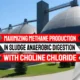 Maximising Methane Production in Sludge Anaerobic Digestion with Choline Chloride - Featured Image.