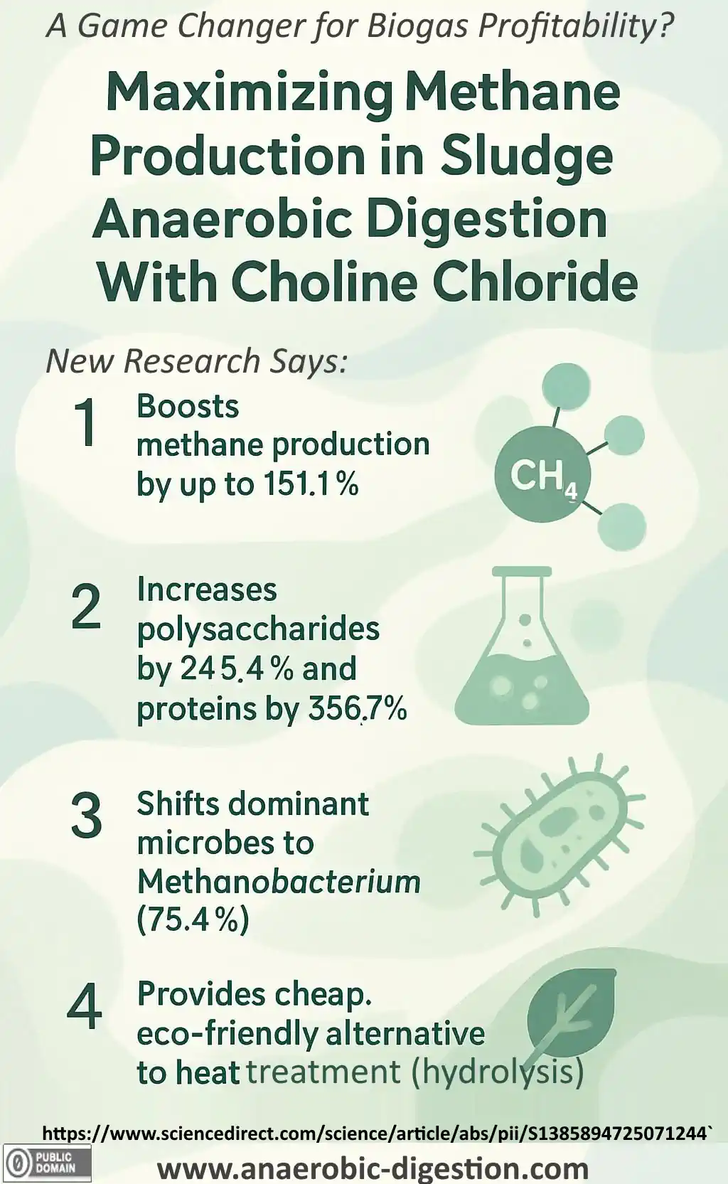 Infographic: maximizing methane production from WwTW sludge anaerobic digestion with choline-chloride.