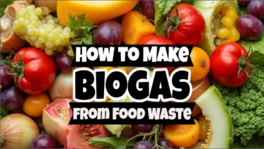 Featured image for How to Make Biogas from Food Waste article