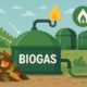 Biogas energy output in various forms.