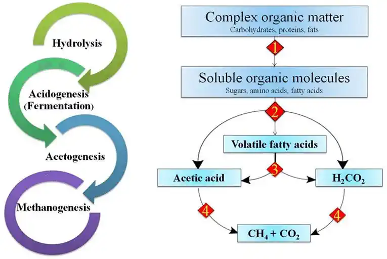Flow diagram of the anaerobic digestion process