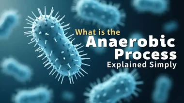 What is the Anaerobic Process Explained Simply - Featured Image.