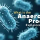 What is the Anaerobic Process Explained Simply - Featured Image.